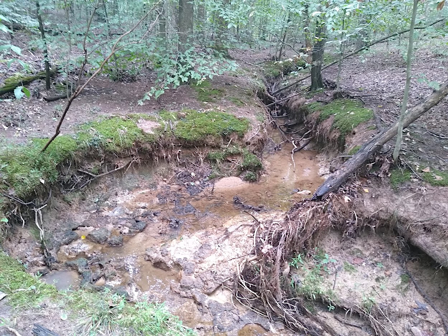 a clear bed and bank, and a pool-and-riffle pattern, are indicators of a perennial stream channel