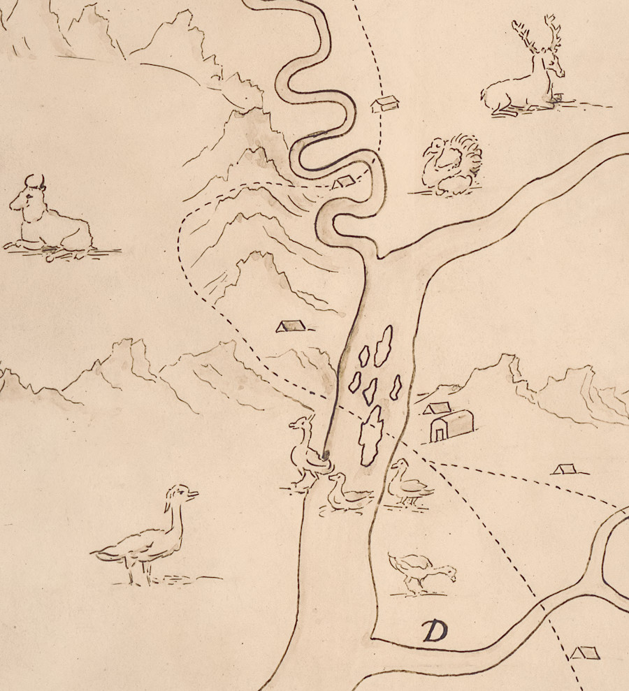 in 1707, Franz Michel sketched geese on the Cohongarooton River when he documented his exploration into the Shenandoah Valley