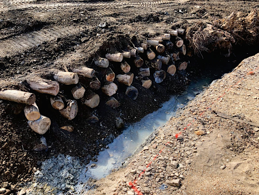 trunks of riparian trees cut down during a stream restoration project are utilized onsite, not hauled away