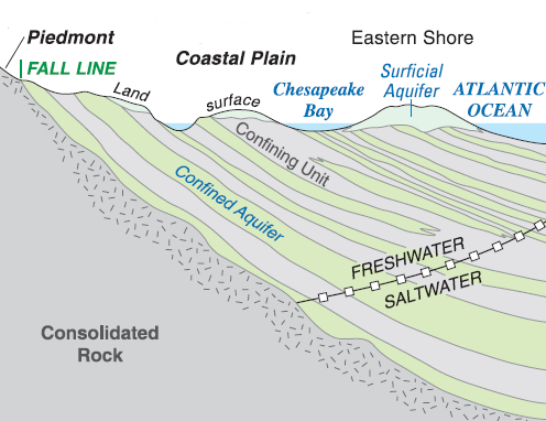 aquifers in Coastal Plain sediments are recharged where the sedimentary layers are exposed on the surface - so wells in Tidewater are withdrawing water that entered the aquifer far to the west