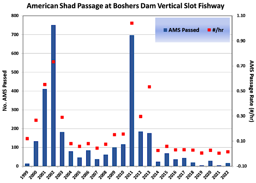 the fish passageway at Boshers Dam had limited success in getting American Shad upstream after 2011, perhaps because so few fish made it to the dam