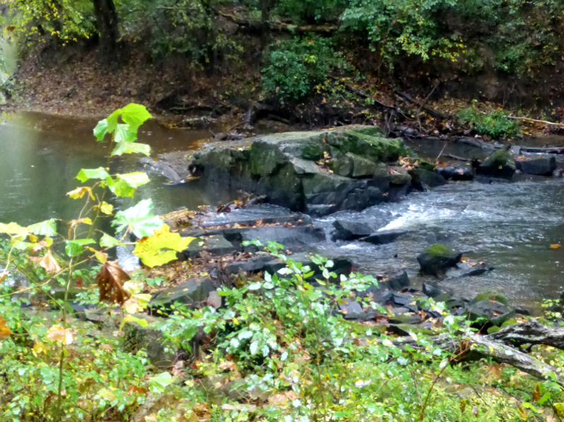 South Anna, downstream of Byrd Mill, carves its channel across the Potomac Terrane, Ellisville Pluton, and Choppawamsic Terrane (Louisa County)