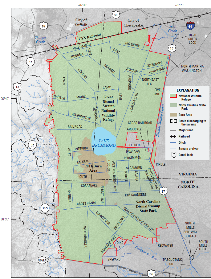 the Great Dismal Swamp today is about 50% of its original size