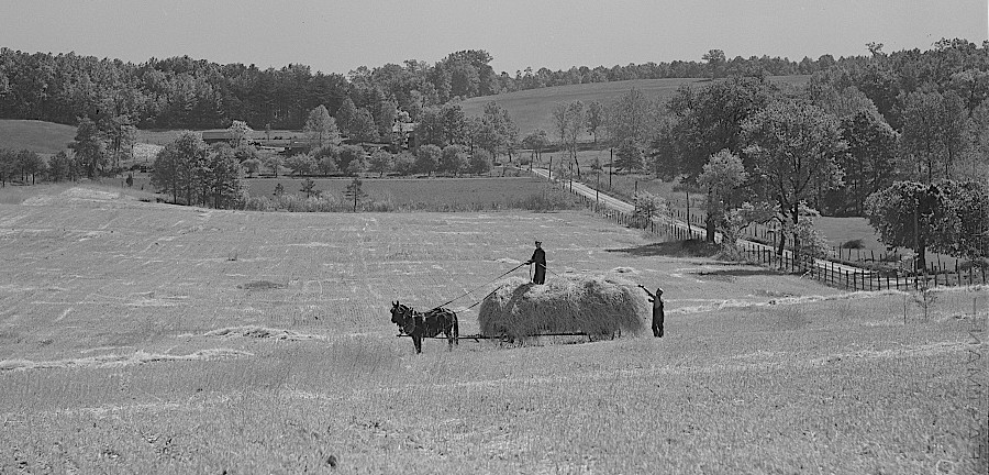 Fairfax County was predominantly agricultural with dirt roads until World War II