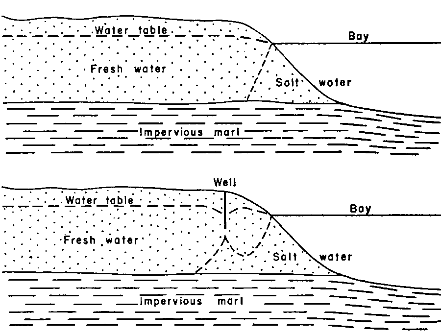 when wells remove freshwater near the Chesapeake Bay, undrinkable saltwater can intrude further into the aquifer